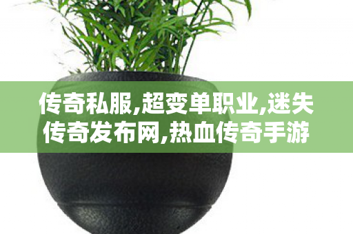 传奇私服,超变单职业,迷失传奇发布网,热血传奇手游指挥,迷失传奇发布网