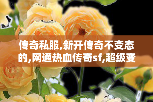 传奇私服,新开传奇不变态的,网通热血传奇sf,超级变态热血传奇,网通热血传奇sf
