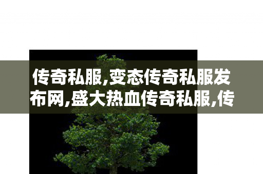 传奇私服,变态传奇私服发布网,盛大热血传奇私服,传奇世界私服登陆器,盛大热血传奇私服