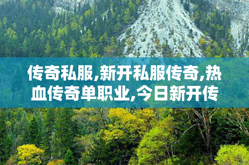 传奇私服,新开私服传奇,热血传奇单职业,今日新开传奇世界私服网站,热血传奇单职业