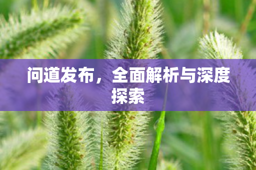 问道发布，全面解析与深度探索