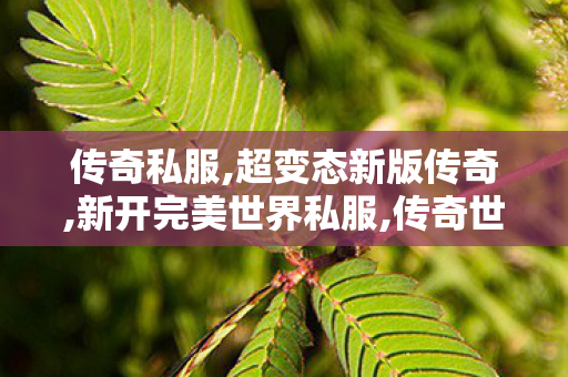 传奇私服,超变态新版传奇,新开完美世界私服,传奇世界私服,新开完美世界私服