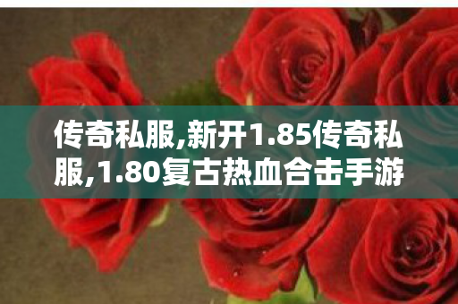 传奇私服,新开1.85传奇私服,1.80复古热血合击手游变态版,新开1.85王者终极,1.80复古热血合击手游变态版