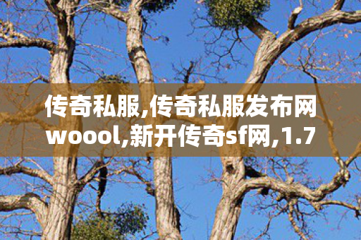 传奇私服,传奇私服发布网woool,新开传奇sf网,1.76极品传奇手游新开,新开传奇sf网