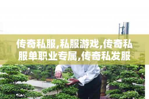 传奇私服,私服游戏,传奇私服单职业专属,传奇私发服1.85,传奇私服单职业专属