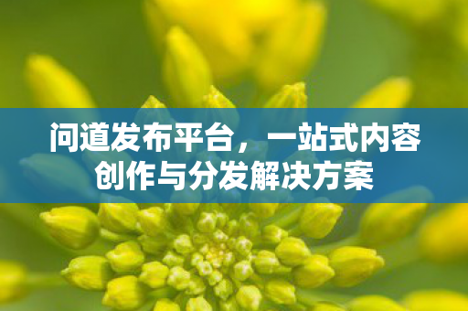 问道发布平台，一站式内容创作与分发解决方案