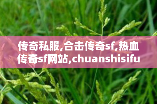 传奇私服,合击传奇sf,热血传奇sf网站,chuanshisifu,热血传奇sf网站