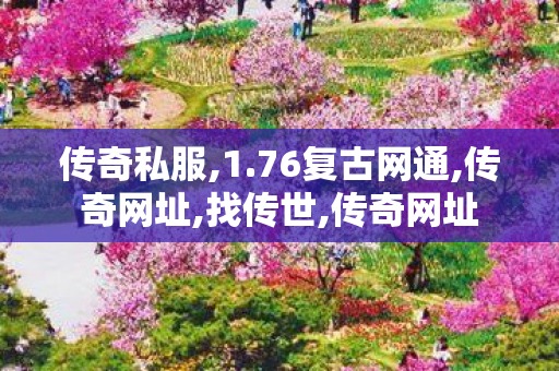 传奇私服,1.76复古网通,传奇网址,找传世,传奇网址