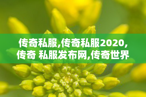 传奇私服,传奇私服2020,传奇 私服发布网,传奇世界新开sf,传奇 私服发布网