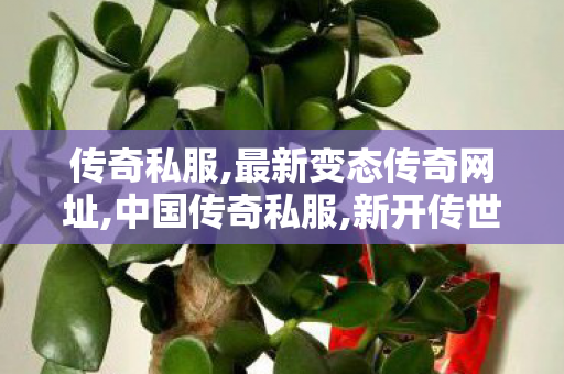 传奇私服,最新变态传奇网址,中国传奇私服,新开传世私服,中国传奇私服