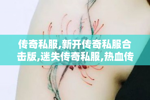 传奇私服,新开传奇私服合击版,迷失传奇私服,热血传奇超变态私服,迷失传奇私服