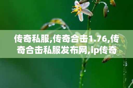 传奇私服,传奇合击1.76,传奇合击私服发布网,ip传奇发布网,传奇合击私服发布网