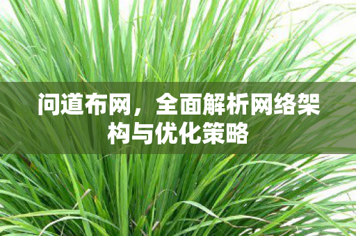 问道布网，全面解析网络架构与优化策略