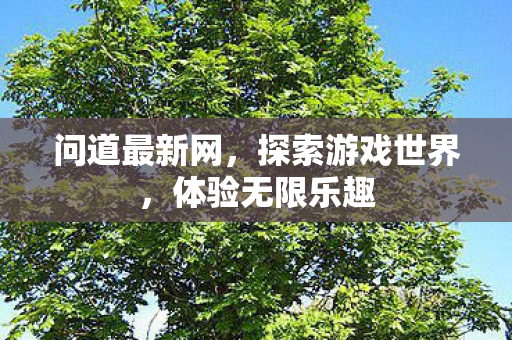 问道最新网，探索游戏世界，体验无限乐趣