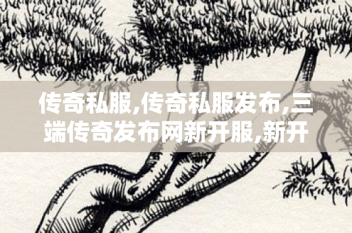 传奇私服,传奇私服发布,三端传奇发布网新开服,新开合击传奇私服网,三端传奇发布网新开服