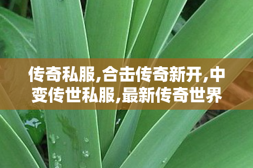 传奇私服,合击传奇新开,中变传世私服,最新传奇世界sf发布网,中变传世私服