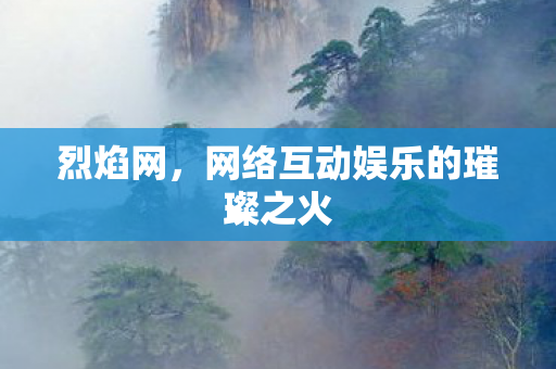 烈焰网，网络互动娱乐的璀璨之火