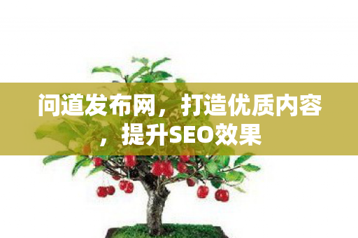 问道发布网，打造优质内容，提升SEO效果