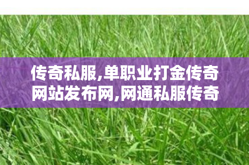 传奇私服,单职业打金传奇网站发布网,网通私服传奇,手机传世sf,网通私服传奇
