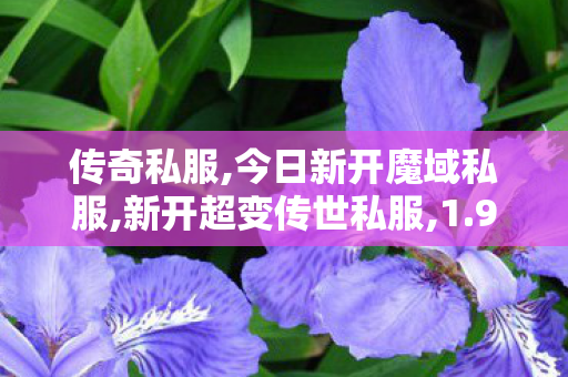 传奇私服,今日新开魔域私服,新开超变传世私服,1.95合击传奇,新开超变传世私服