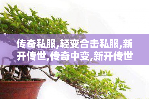 传奇私服,轻变合击私服,新开传世,传奇中变,新开传世