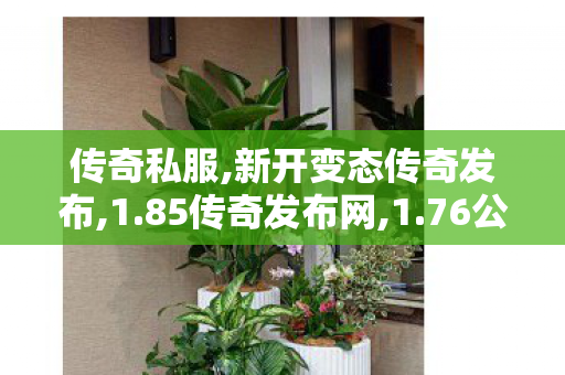 传奇私服,新开变态传奇发布,1.85传奇发布网,1.76公益传奇,1.85传奇发布网