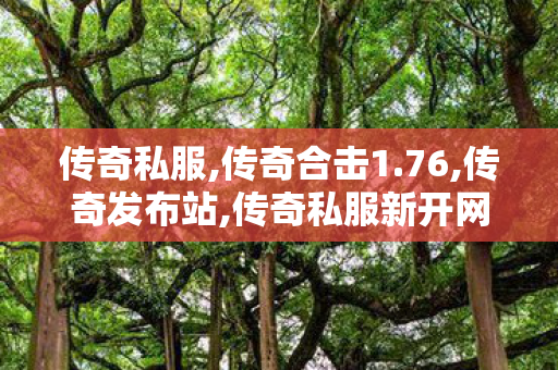 传奇私服,传奇合击1.76,传奇发布站,传奇私服新开网站,传奇发布站