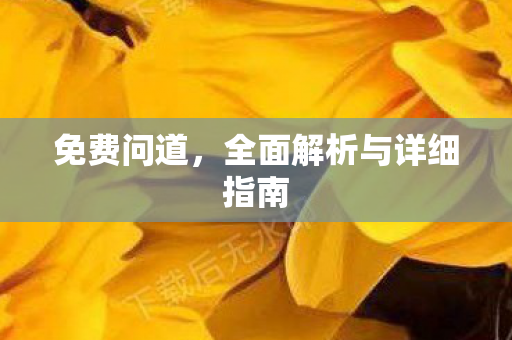 免费问道，全面解析与详细指南