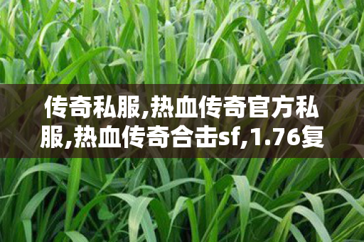 传奇私服,热血传奇官方私服,热血传奇合击sf,1.76复古网通,热血传奇合击sf