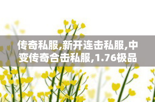 传奇私服,新开连击私服,中变传奇合击私服,1.76极品传奇手游新开,中变传奇合击私服