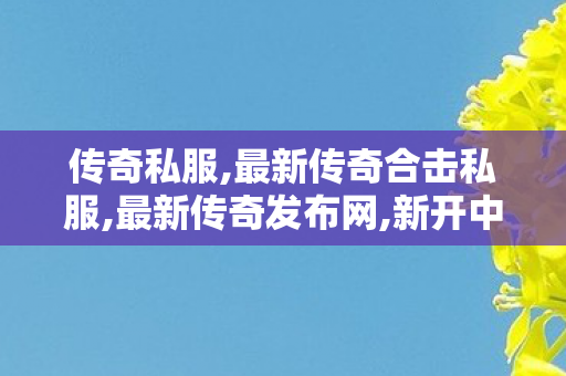 传奇私服,最新传奇合击私服,最新传奇发布网,新开中变传奇发布网站,最新传奇发布网