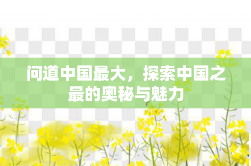 问道中国最大，探索中国之最的奥秘与魅力