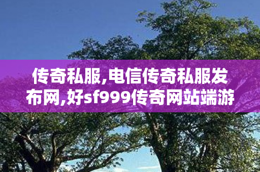 传奇私服,电信传奇私服发布网,好sf999传奇网站端游,传奇合击1.76,好sf999传奇网站端游