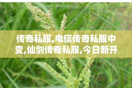 传奇私服,电信传奇私服中变,仙剑传奇私服,今日新开私服,仙剑传奇私服
