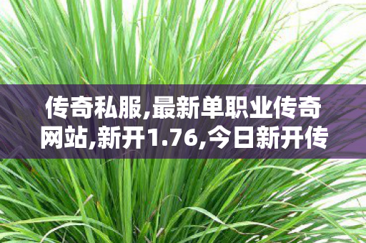 传奇私服,最新单职业传奇网站,新开1.76,今日新开传奇私服网,新开1.76