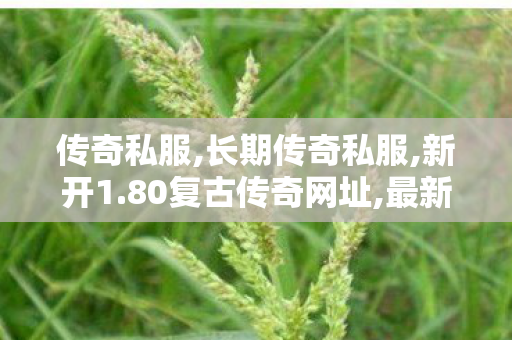 传奇私服,长期传奇私服,新开1.80复古传奇网址,最新开热血传奇私服,新开1.80复古传奇网址