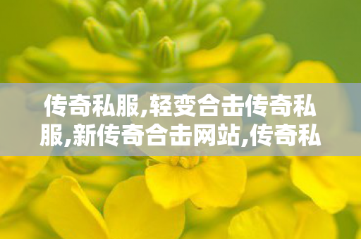 传奇私服,轻变合击传奇私服,新传奇合击网站,传奇私发布网服,新传奇合击网站