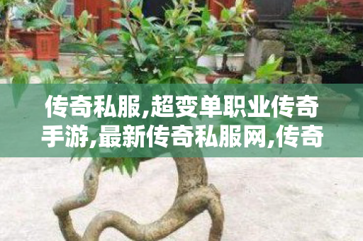 传奇私服,超变单职业传奇手游,最新传奇私服网,传奇世界最新版本,最新传奇私服网
