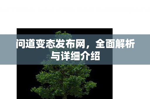 问道变态发布网，全面解析与详细介绍
