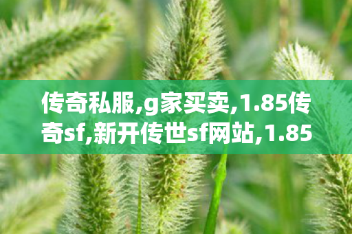 传奇私服,g家买卖,1.85传奇sf,新开传世sf网站,1.85传奇sf