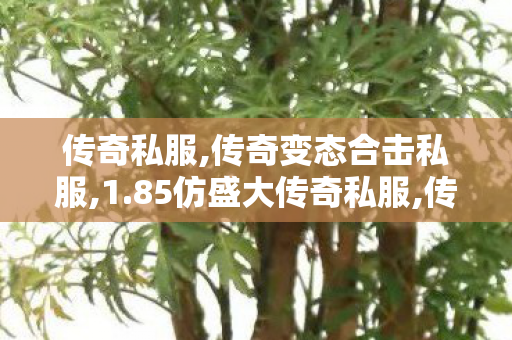 传奇私服,传奇变态合击私服,1.85仿盛大传奇私服,传奇世界网站,1.85仿盛大传奇私服