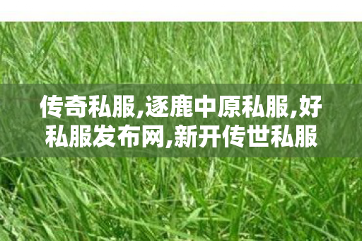 传奇私服,逐鹿中原私服,好私服发布网,新开传世私服网站,好私服发布网