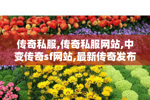 传奇私服,传奇私服网站,中变传奇sf网站,最新传奇发布网站,中变传奇sf网站