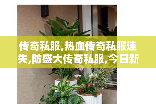 传奇私服,热血传奇私服迷失,防盛大传奇私服,今日新开传世sf网站,防盛大传奇私服
