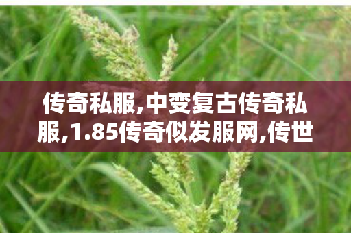 传奇私服,中变复古传奇私服,1.85传奇似发服网,传世sf新开区,1.85传奇似发服网