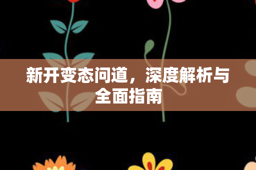 新开变态问道，深度解析与全面指南