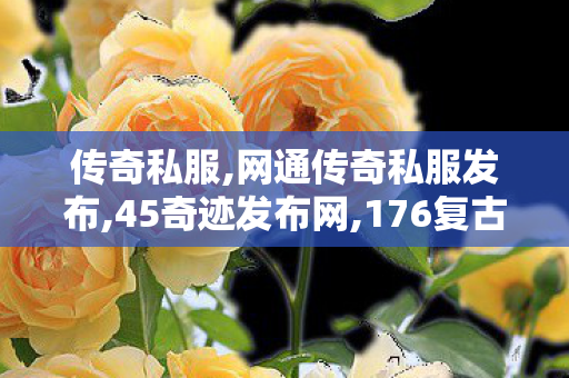 传奇私服,网通传奇私服发布,45奇迹发布网,176复古合击传奇发布网,45奇迹发布网