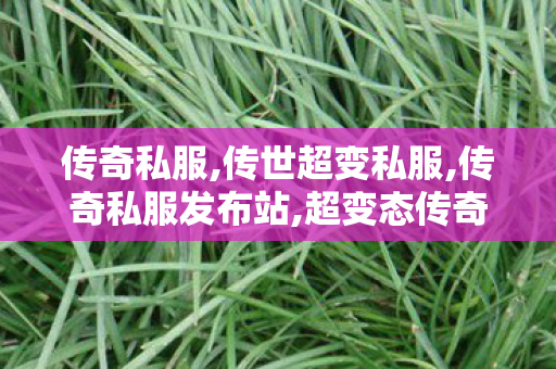 传奇私服,传世超变私服,传奇私服发布站,超变态传奇私发服网,传奇私服发布站
