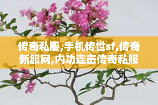 传奇私服,手机传世sf,传奇新服网,内功连击传奇私服,传奇新服网