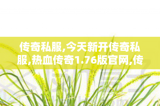 传奇私服,今天新开传奇私服,热血传奇1.76版官网,传奇世界新开服的发布网,热血传奇1.76版官网